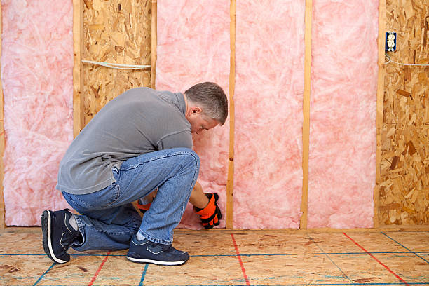 Best Commercial Insulation Services  in Albert Lea, MN